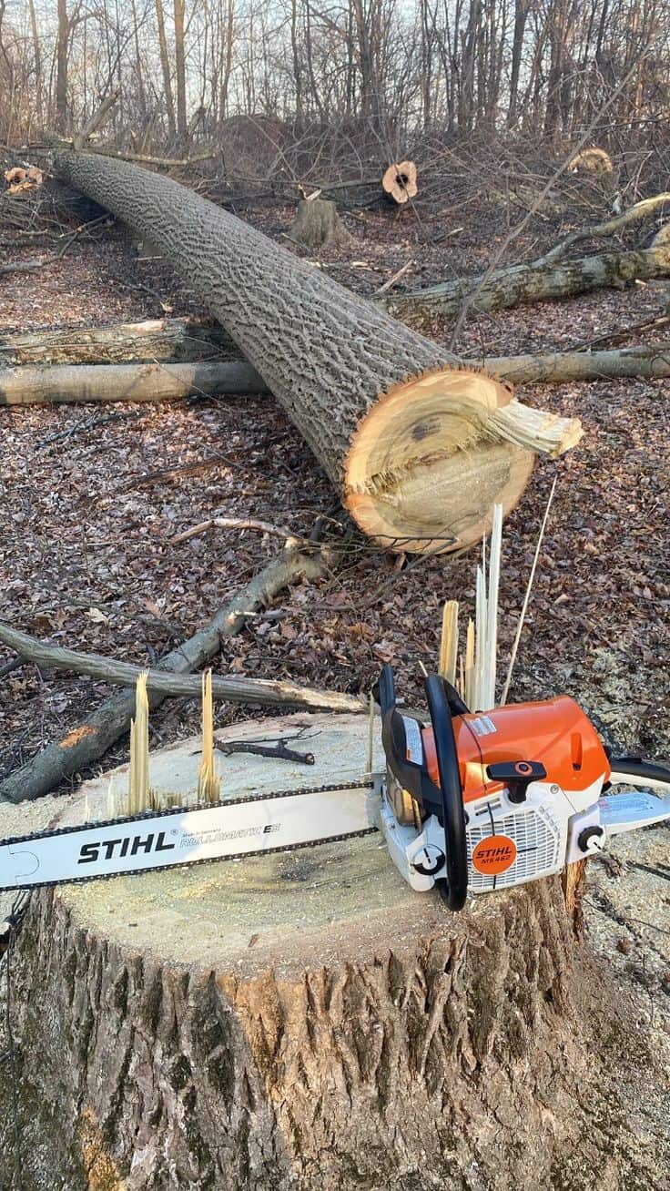 Baker Tree Service